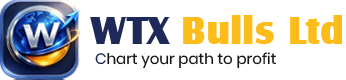 WTX Bulls